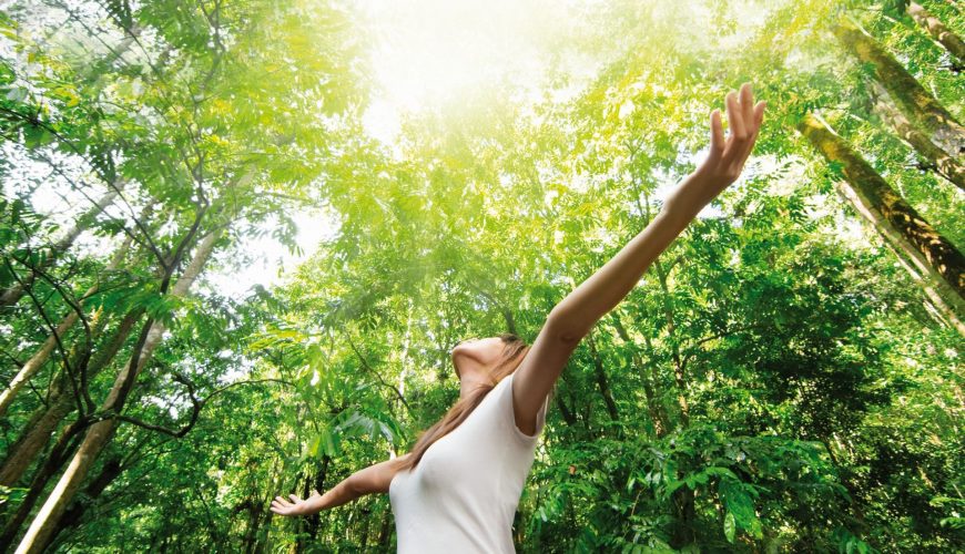 VCH Verantwortung uebernehmen