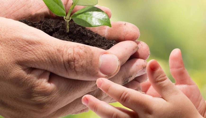 Fairness als gelebter Wert