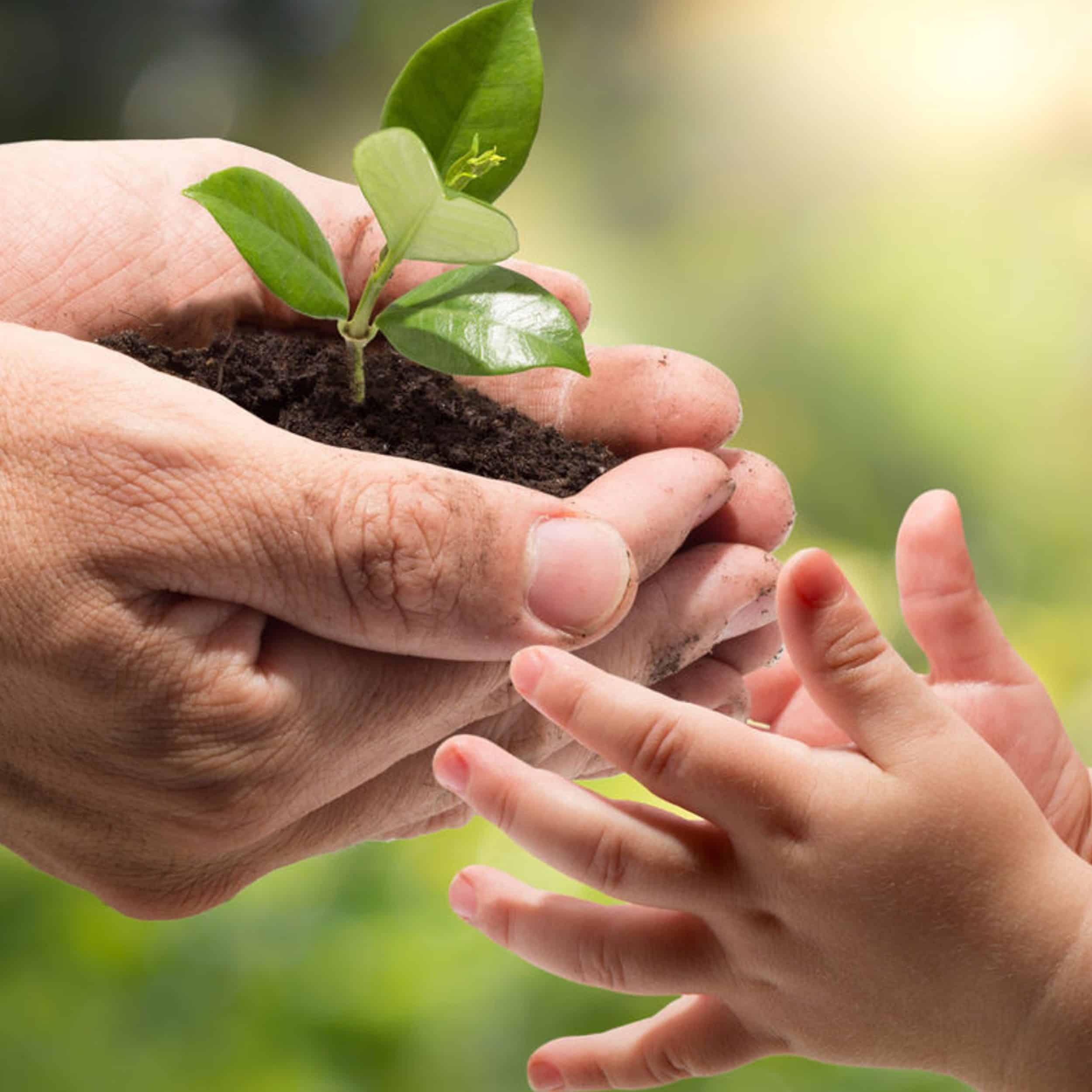 Nachhaltigkeit als christlicher Wert in den VCH-Hotels