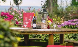 berghotel-hohe-mark-biergarten-3