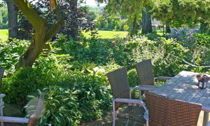 berghotel-hohe-mark-biergarten-4