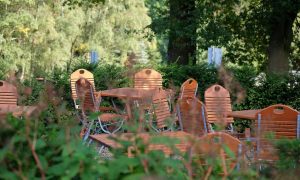 berghotel-hohe-mark-biergarten